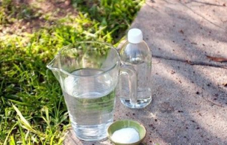 vinegar fighting