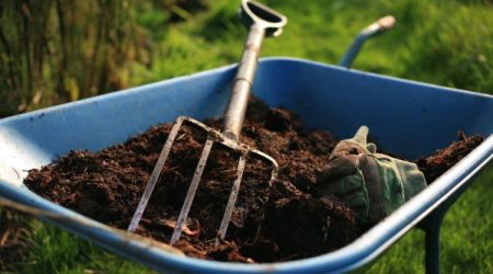Compost in a wheelbarrow