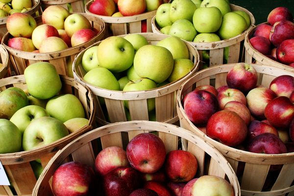 Apples of different varieties