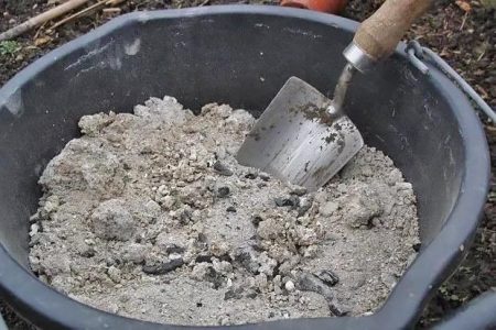 Fertilize eggplant with ash