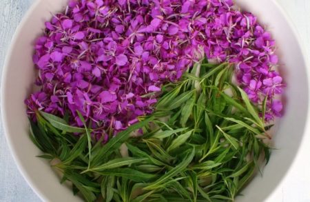 preparation for drying