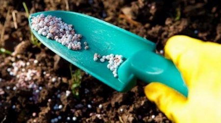 Soil fertilizer