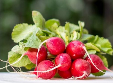 applying soda to radish