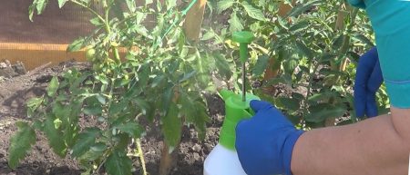 Spraying