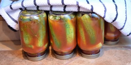 cucumbers in tomato with onion and garlic