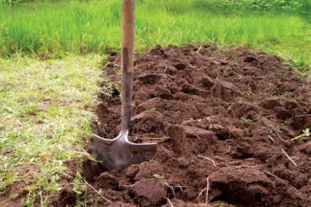 Cultivation of the earth