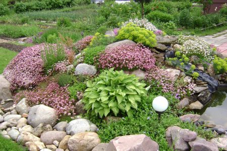 rock garden
