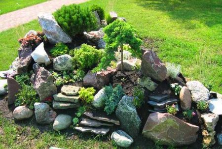 rock garden