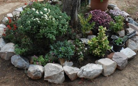 flowerbed