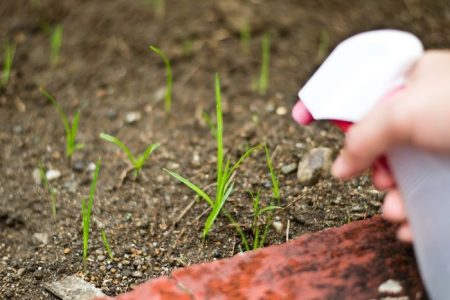 folk weed control methods