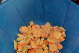 Shredded Carrots