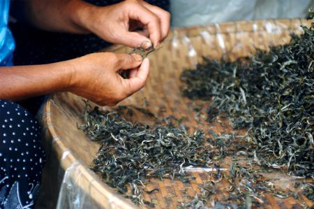 we dry tea