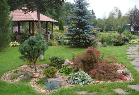 flowerbed