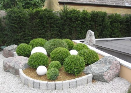 flowerbed