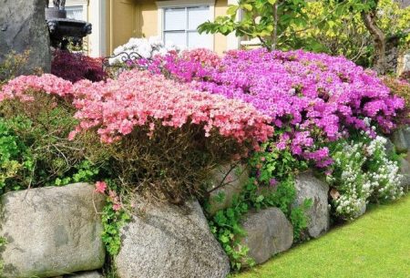 a natural stone