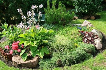 flowerbed