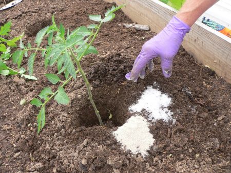 Root top dressing with soda