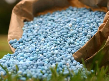Mineral fertilizers for cucumbers