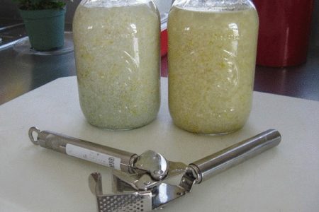 garlic infusion