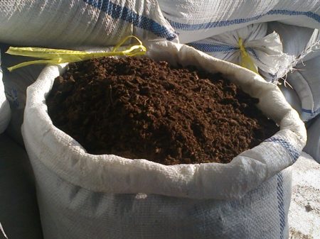 Organic Fertilizers for Cucumbers