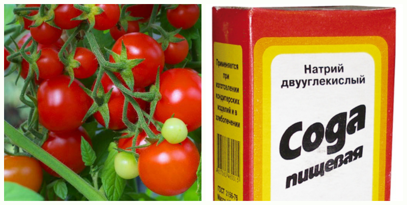 Baking Soda for Tomatoes