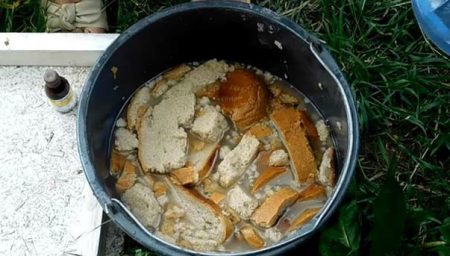 Natopljeni Ruski