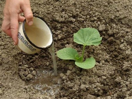 Top dressing after landing