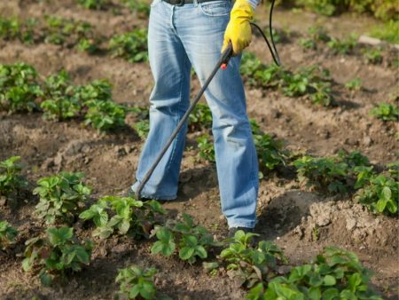 Pest treatment