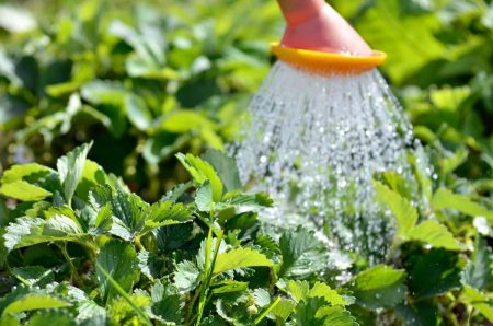Maintain humidity