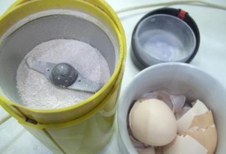 crushed eggshell