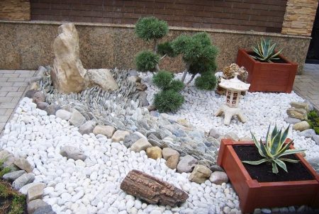 Japanese garden