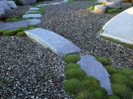 Japanese garden