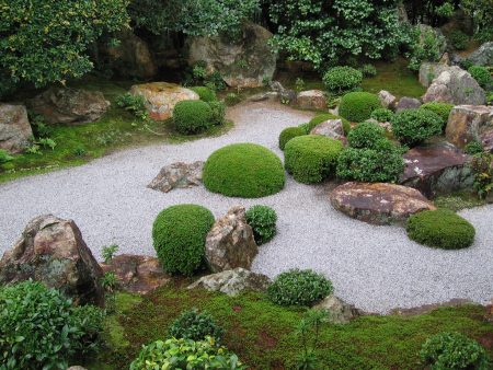 Japanese garden