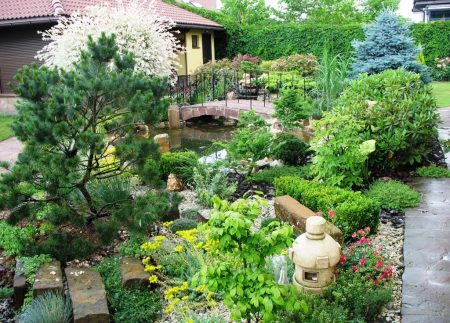 Japanese garden