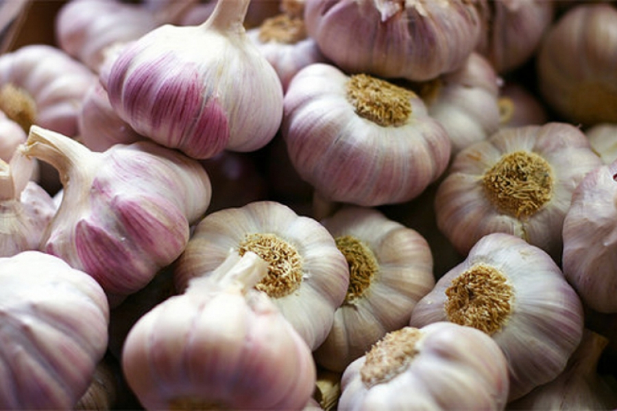 garlic