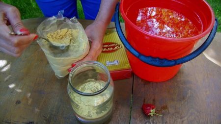 cooking mustard