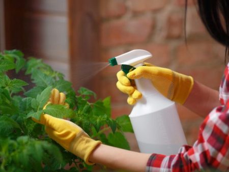 spraying