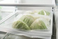 cabbage in the refrigerator