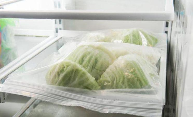 cabbage in the refrigerator