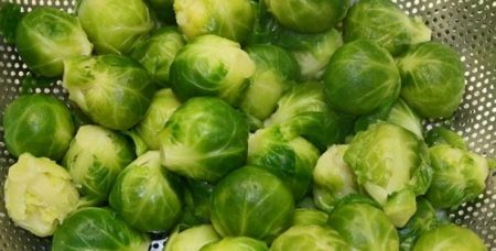 cabbage
