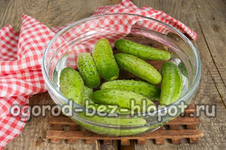Cucumbers in a bowl
