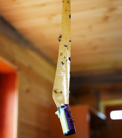 fly tape