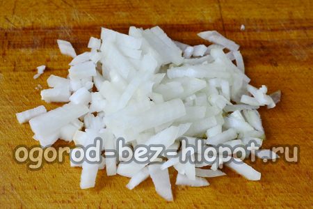 Onion