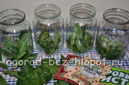 Spices in jars