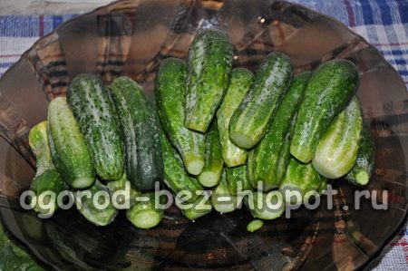 Wash the cucumbers