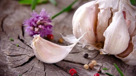 Garlic