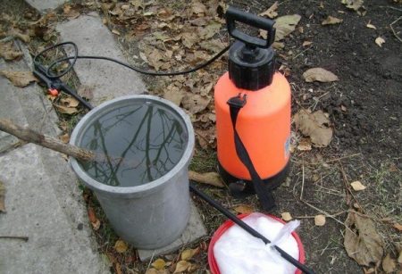 folk remedies for midges