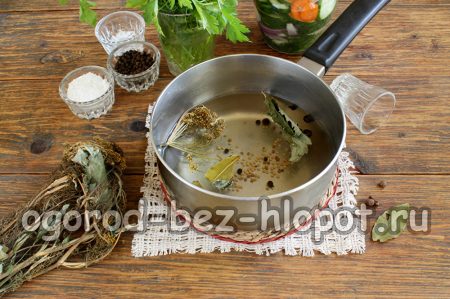 Cucumber Marinade