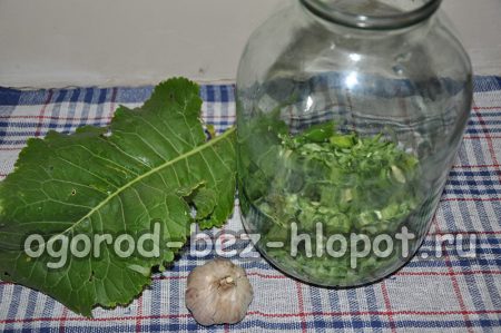 stacking in a jar horseradish and a layer of cucumbers