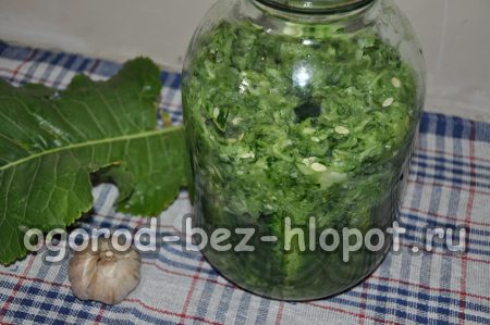 continuation of laying cucumbers and cucumber mass